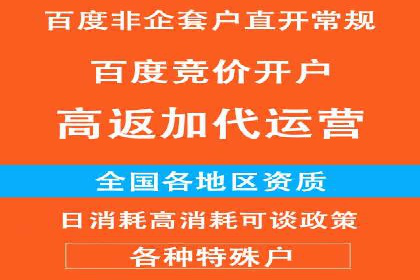 某电商平台信息流广告的精准推广策略